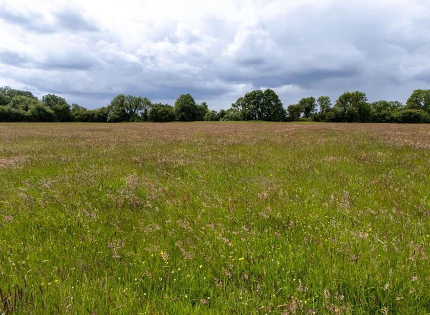 Ballincur, Rahan