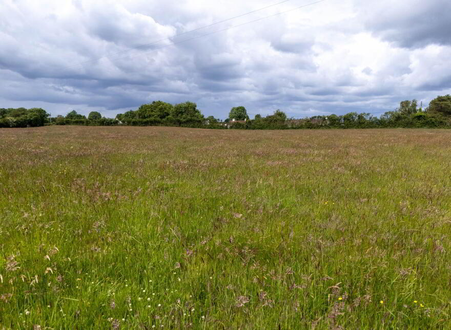 Ballincur, Rahan