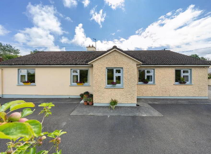 Grennan, Oldcastle, A82YX45 photo