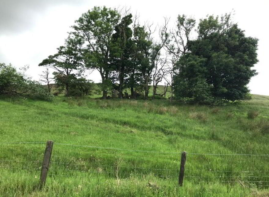 165m SW Of No 38, Old Cushendun Road, Newtowncrommelin, Ballymena, BT43 6WJ