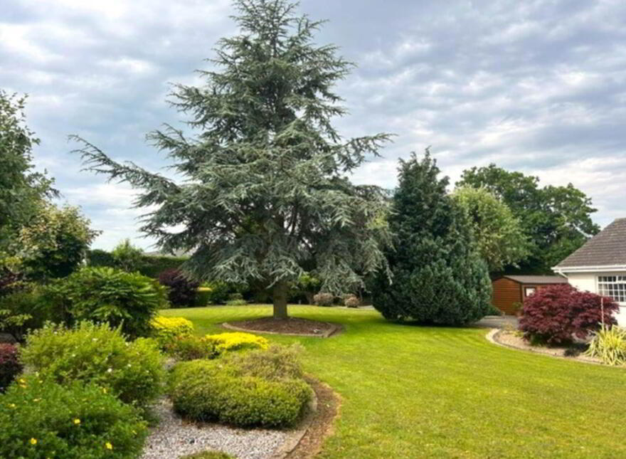 Bungalow, On 0.66 Acres, Mountrice, Monasterevin, W34YK66