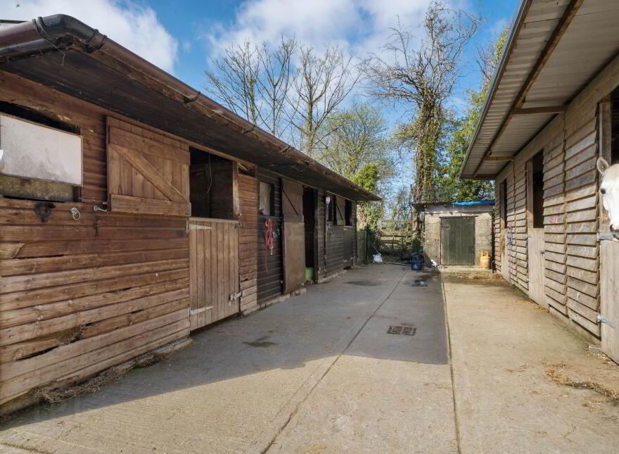 Dunheda, Kingscourt, A82T659