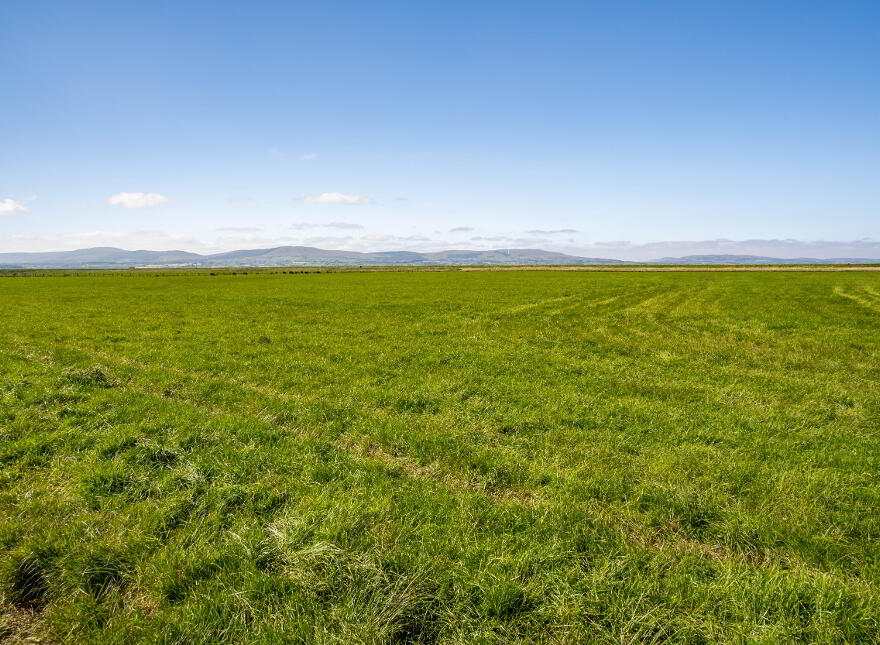 Lot 1: Donnybrewer Level, The Eglinton Estate, Eglinton, BT47 3PS