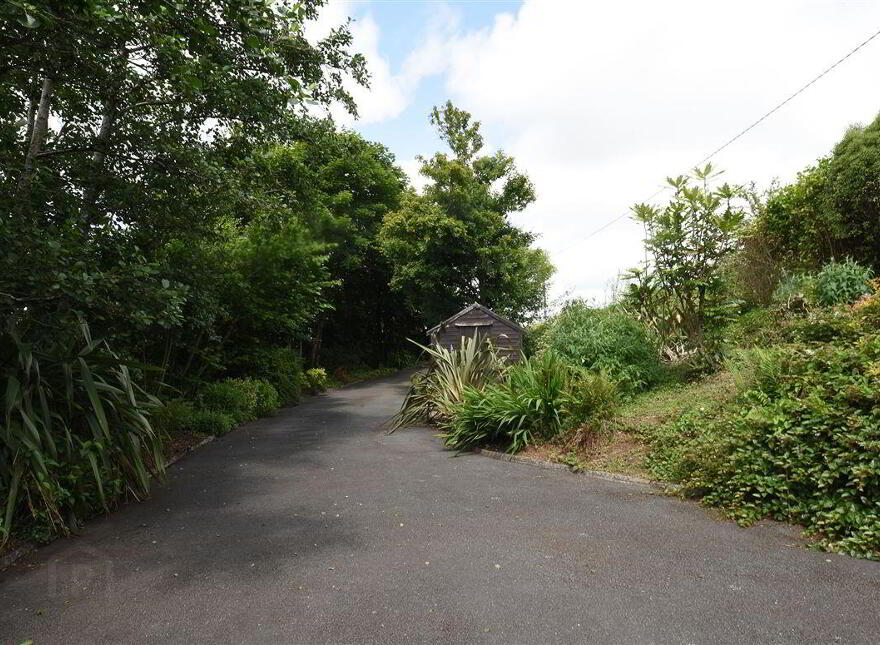 Willow Hill, Carrigaline
