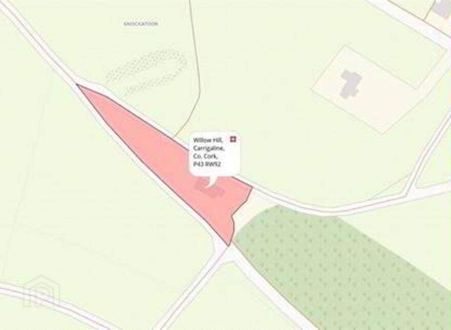 Willow Hill, Carrigaline