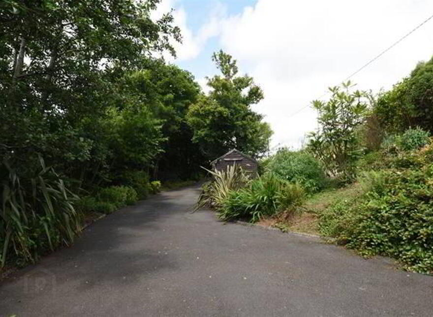 Willow Hill, Carrigaline