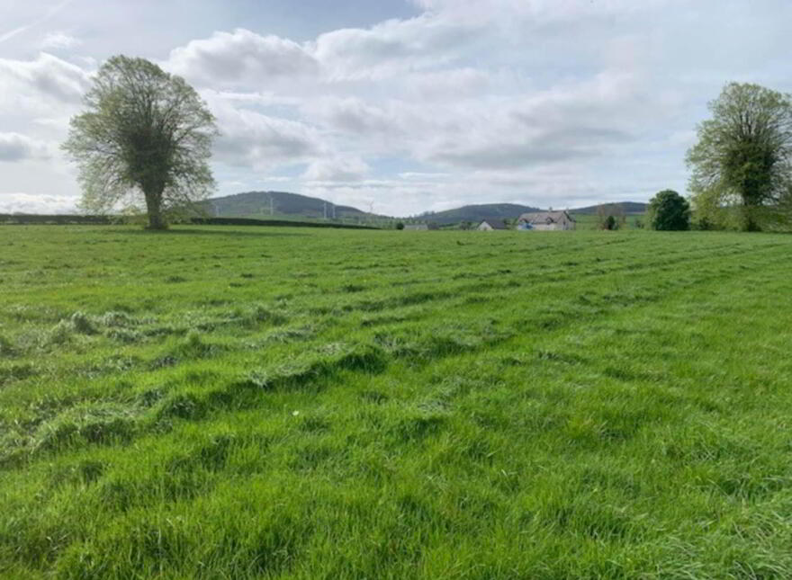 11 Acres, Millbrook, Ballinaclough, Nenagh photo