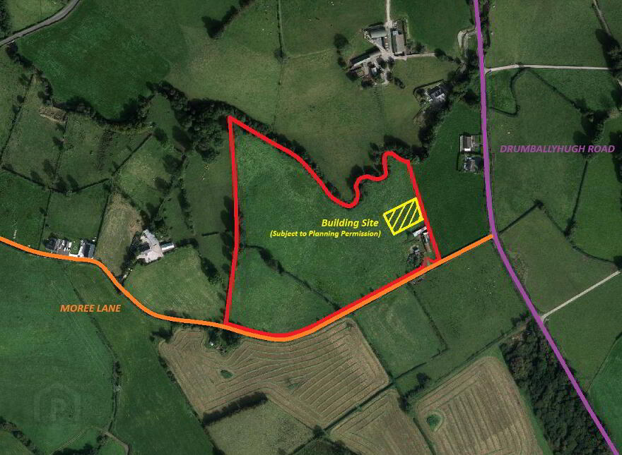 10.95 ACRES AGRICULTURAL LAND, Moree Lane, Rock, Dungannon, BT70 3JA