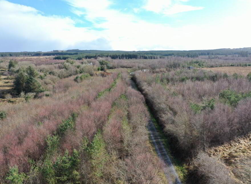 Knockaunbrack, Listowel