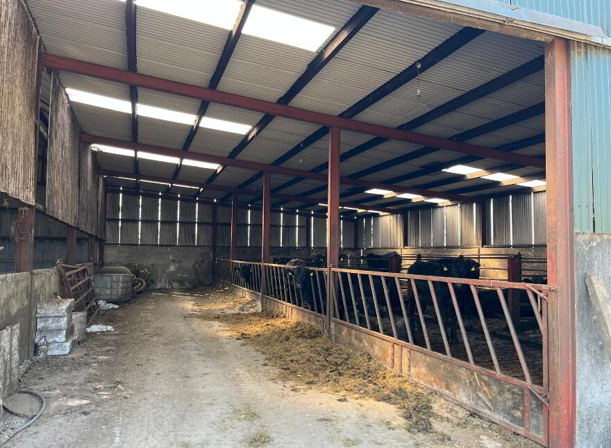 22.22 ACRES AGRICULTURAL LAND, Moneygaragh Road, Rock, Dungannon, BT70 3HU
