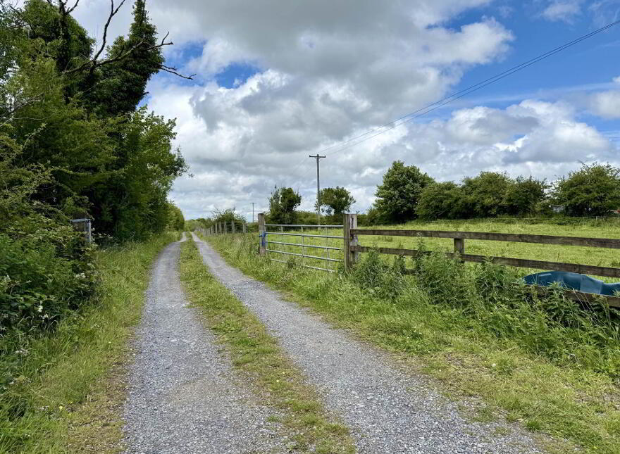Driney, Loughglynn, F45YH59