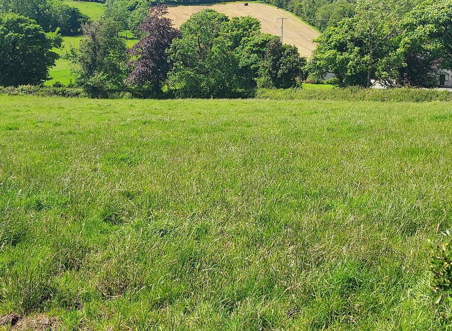 Corbo Road, Seskinore, Omagh, BT78 2QP