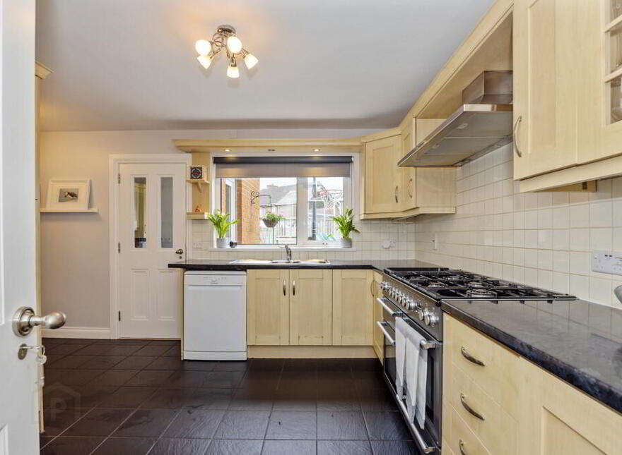103 Trossachs Drive, Upper Malone Road, Belfast, BT10 0HU