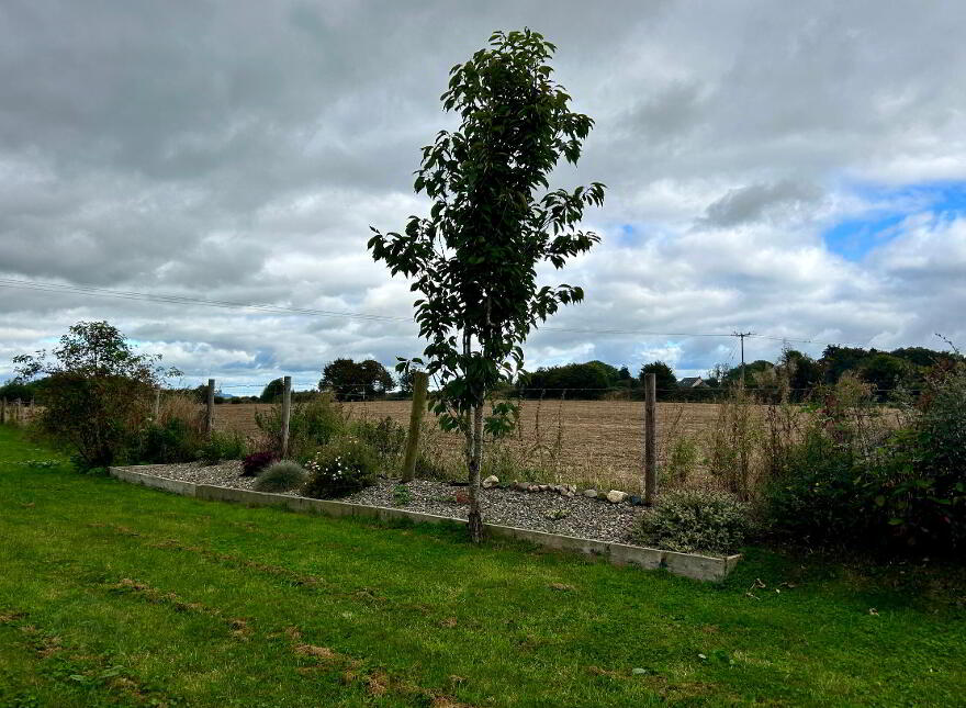 Raheenduff, Gorey