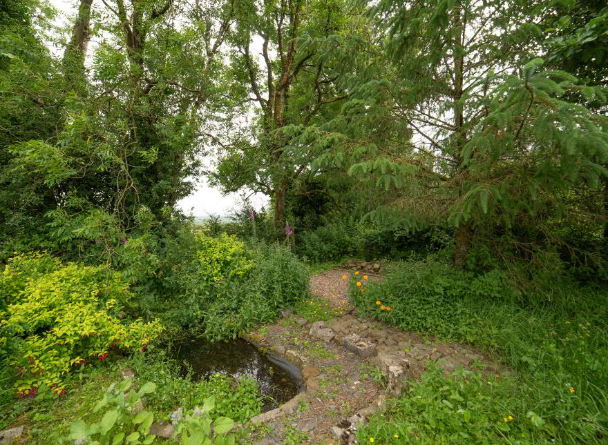 Ardaprior, Buttevant, P51FF20