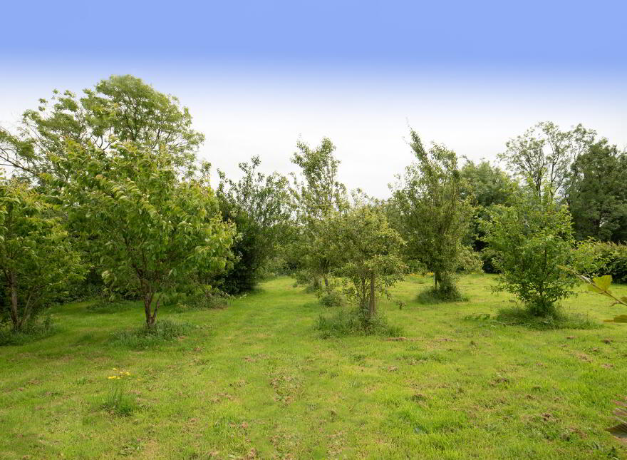 Ardaprior, Buttevant, P51FF20
