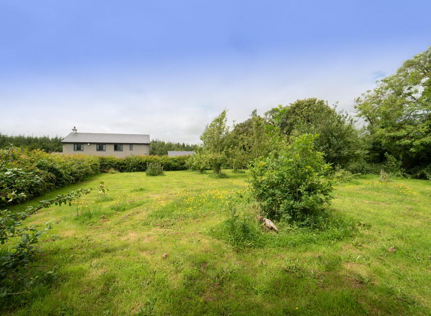 Ardaprior, Buttevant, P51FF20