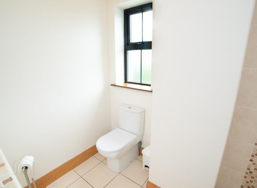 Ardaprior, Buttevant, P51FF20