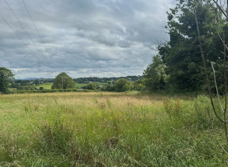 Building Site, 16m SW Of, 32 Dublinhill Road, Dromore, BT25 1SY photo