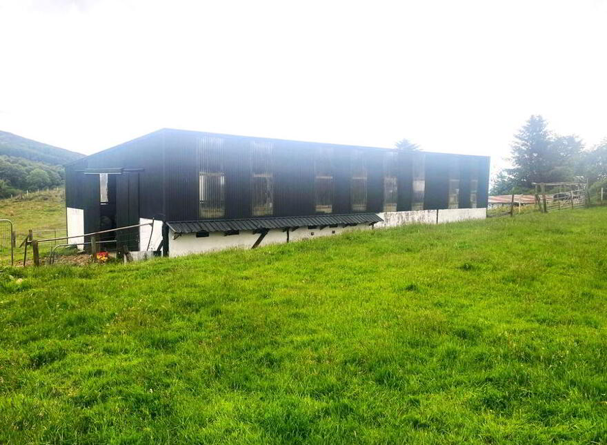 Glenalla, Milford, F92A898