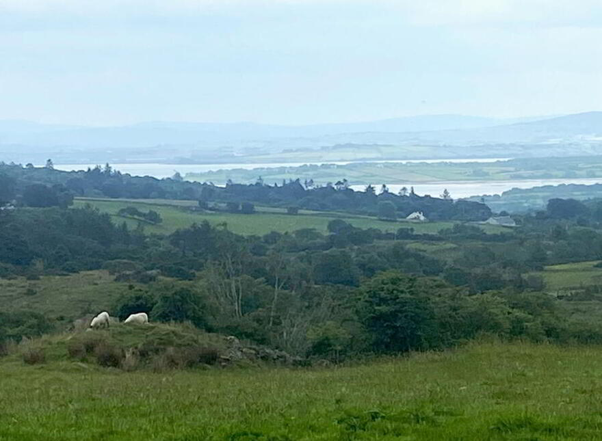 Glenalla, Milford, F92A898