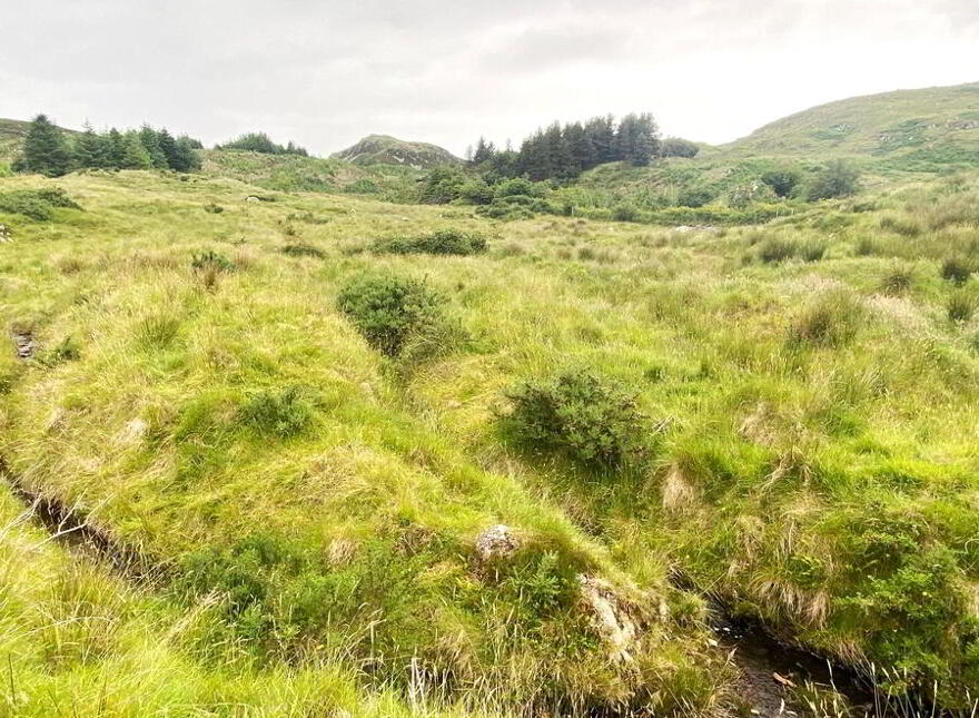 Glenalla, Milford, F92A898