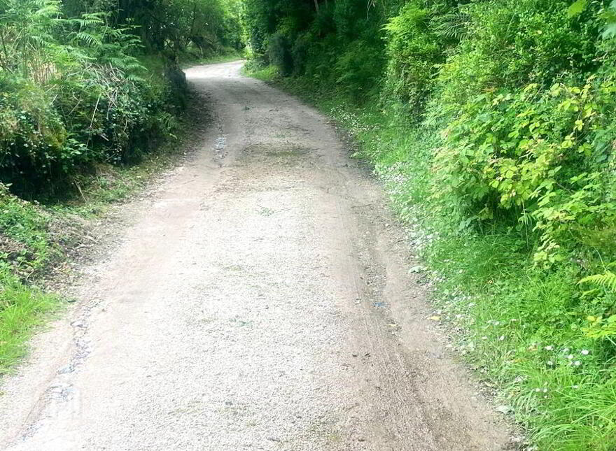 Glenalla, Milford, F92A898