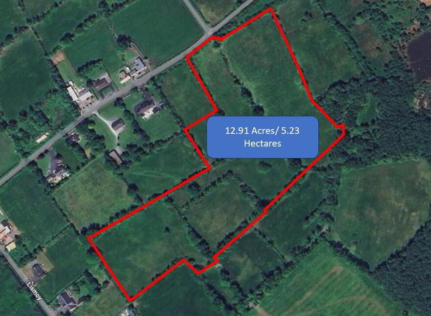 Lismoy, Ld20389f, Longford Town