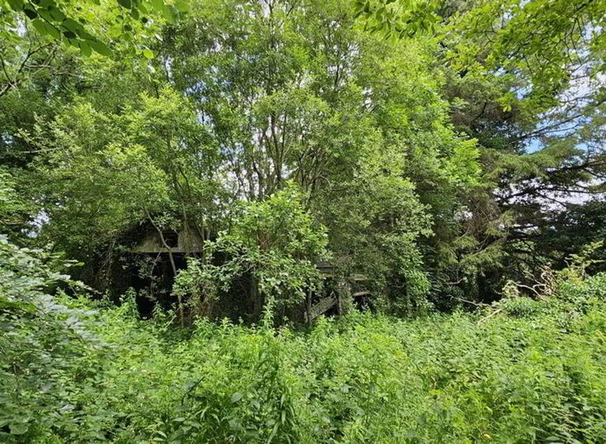 Drumboe Lower, Stranorlar