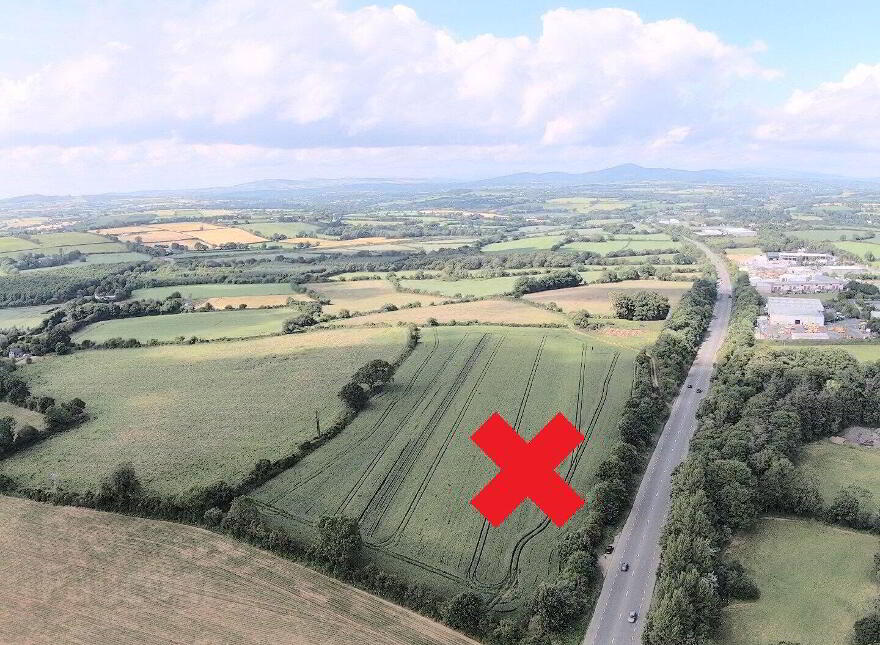 Moyne Lower, Enniscorthy photo