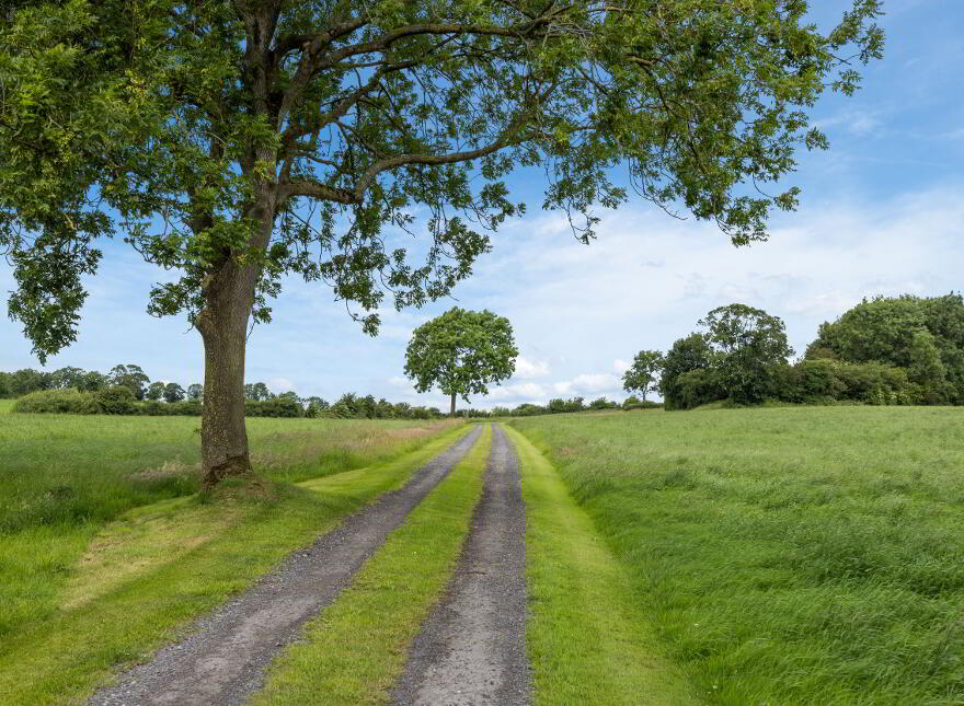 Clover Hill, 91 Killysorrell Road, Blackskull, Dromore, BT25 1LD