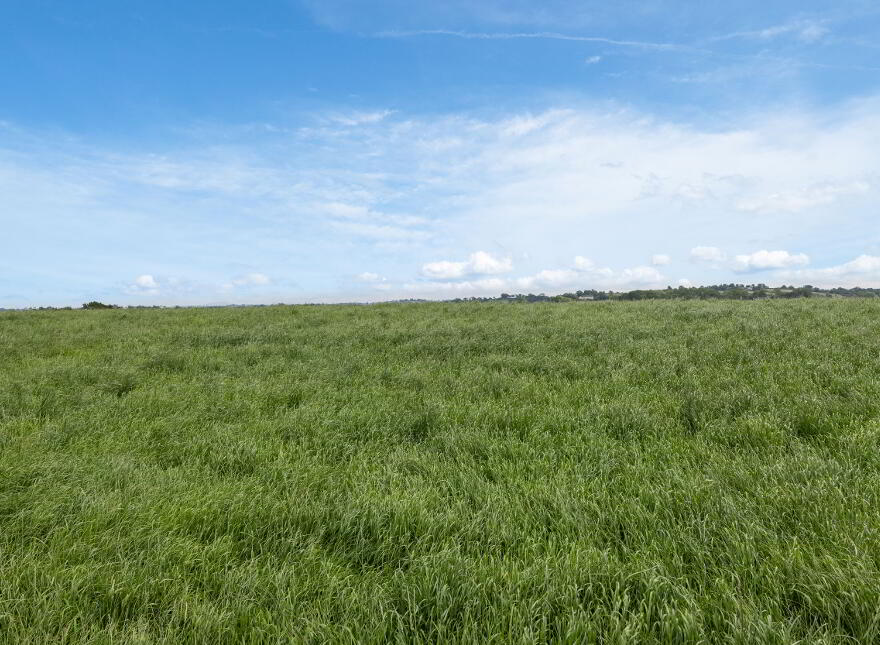 Clover Hill, 91 Killysorrell Road, Blackskull, Dromore, BT25 1LD