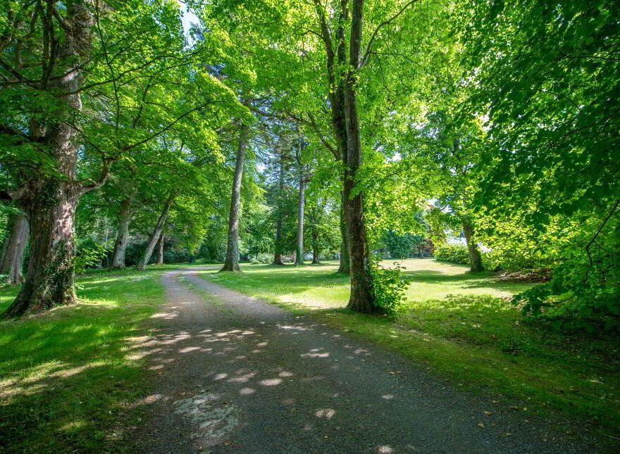 Fort Royal, Rathmullan, F92E067