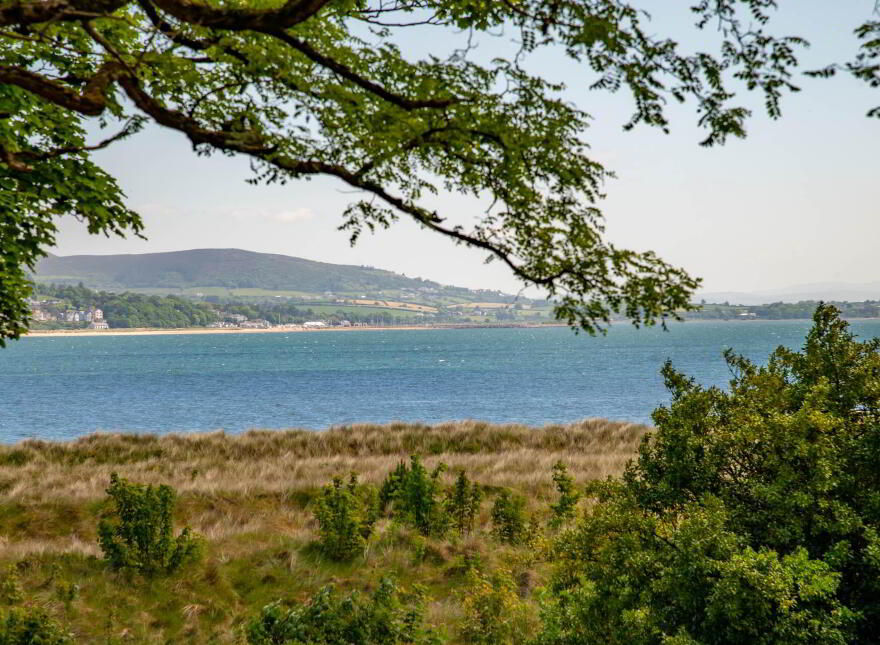 Fort Royal, Rathmullan, F92E067