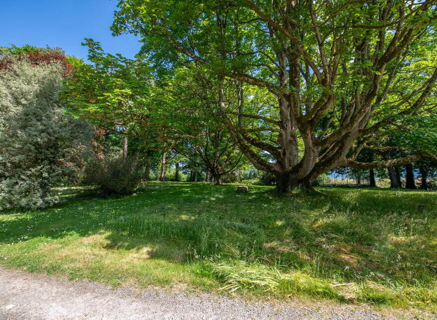 Fort Royal, Rathmullan, F92E067