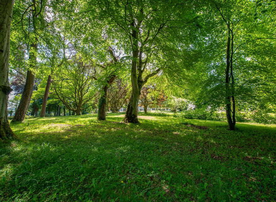 Fort Royal, Rathmullan, F92E067