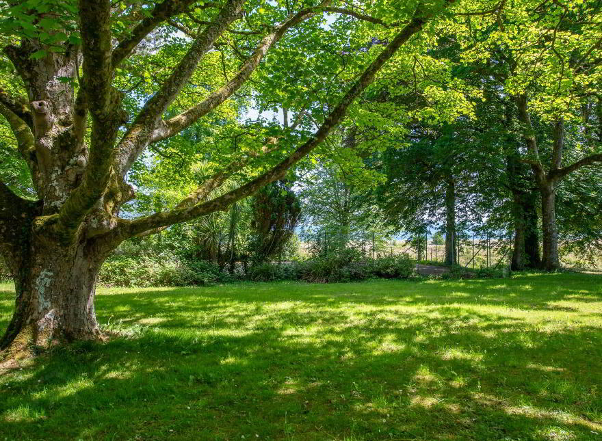 Fort Royal, Rathmullan, F92E067