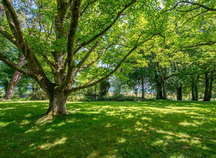 Fort Royal, Rathmullan, F92E067