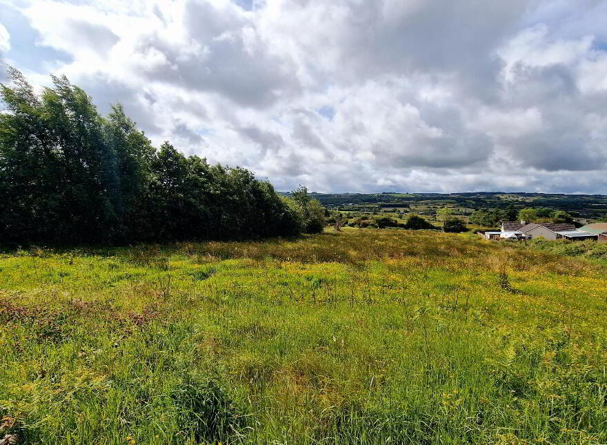 Ballaugh, Abbeyfeale