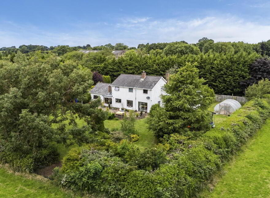 Dwelling And Annex At 7 Loughanmore Road, Dunadry, BT41 2QP