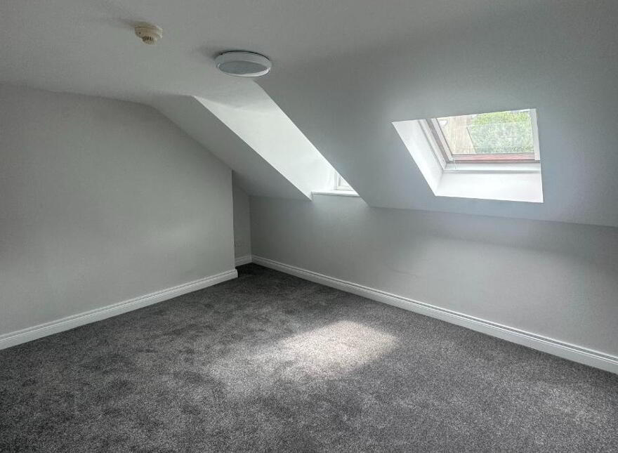 STUDENT ACCOMMODATION, 24 Chamberlain Street, Derry, BT48 6LR