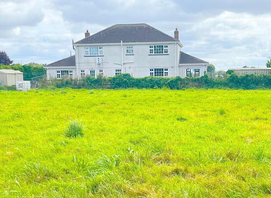 Wood Of O, Tullamore, Offaly, R35W3F9