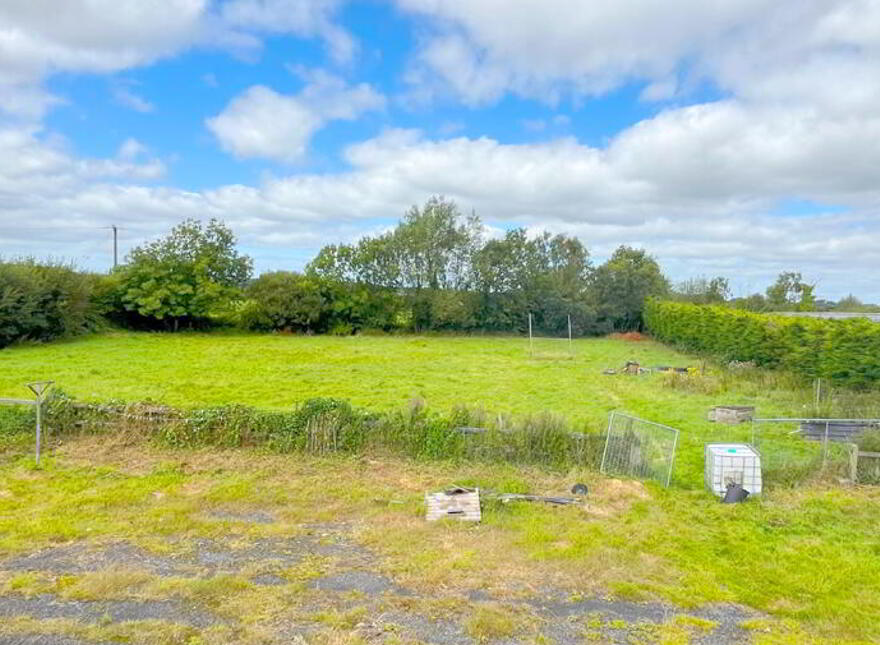 Wood Of O, Tullamore, Offaly, R35W3F9