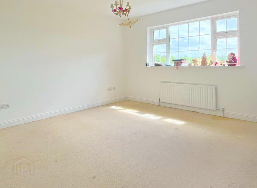 Wood Of O, Tullamore, Offaly, R35W3F9