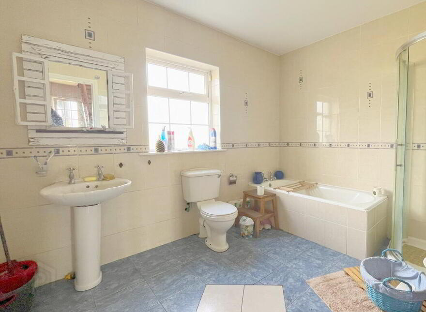 Wood Of O, Tullamore, Offaly, R35W3F9
