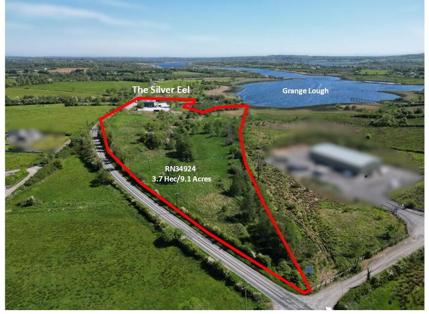 The Silver Eel, Grange, Strokestown, Roscommon, F42F728