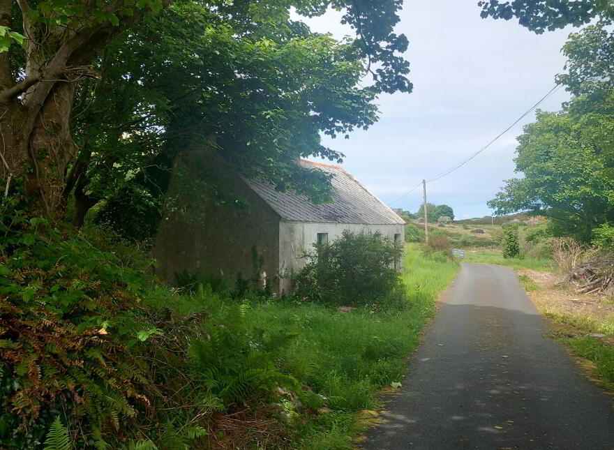 Ardsbeg, Gortahork