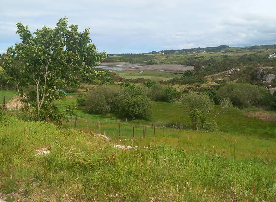 Ardsbeg, Gortahork