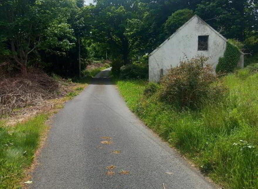 Ardsbeg, Gortahork