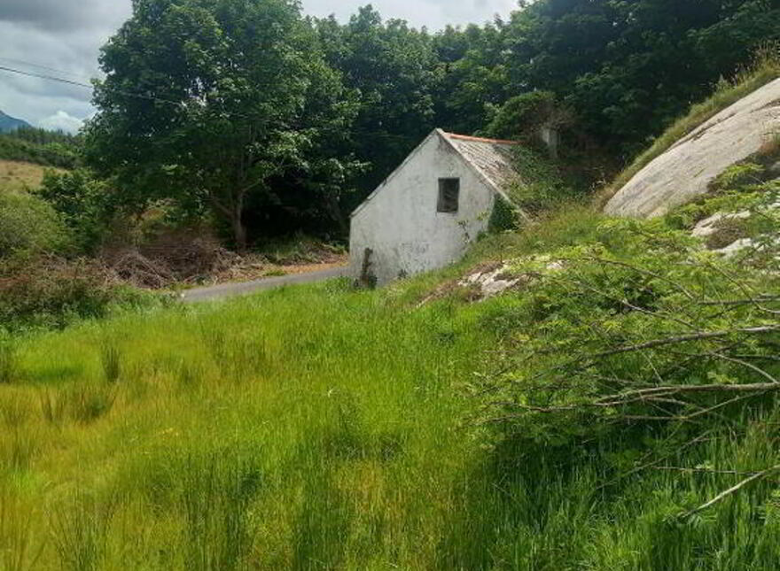 Ardsbeg, Gortahork